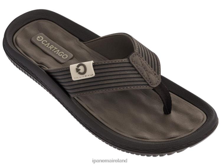 Footwear VR06T451 Men Brown Ipanema Dunas