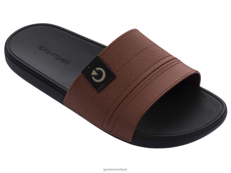 Footwear VR06T465 Men Tan Ipanema Dakar Slide